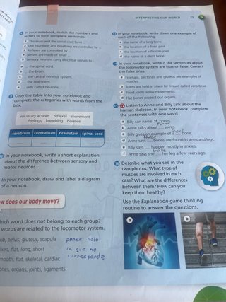 Natural Science, 5 Primary, Outside the Box, ByMe