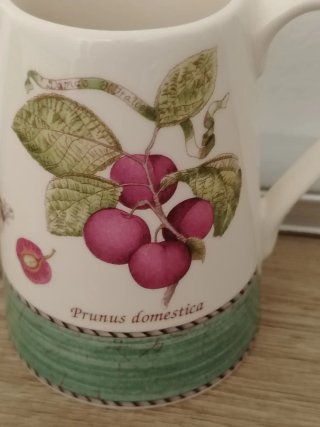 Lattiera Wedgwood Prunus domestica