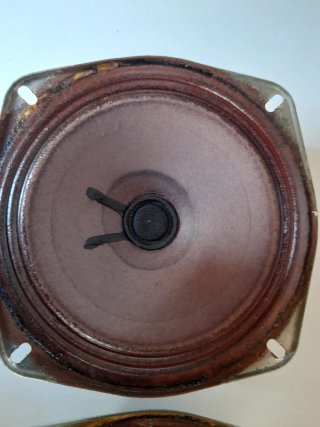 Altavoces Roselson Marrones y Negros