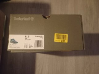 Zapatillas Timberland Verde y Turquesa