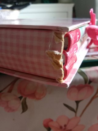 Pack Junie B. Jones (incluye n.o 1, 2 y 3)