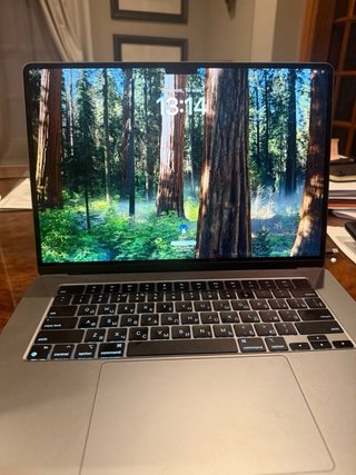 Apple MacBook 2024 Plata/Gris Espacial