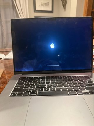 Apple MacBook 2024 Plata/Gris Espacial