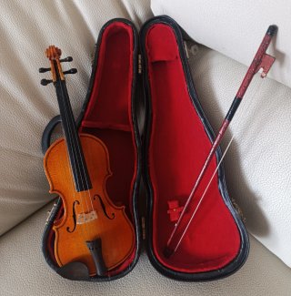 Violín con funda y arco