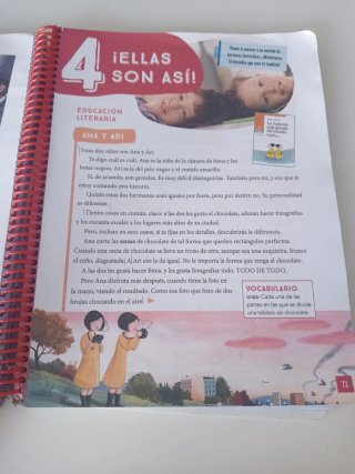 Lengua castellana 4 primaria