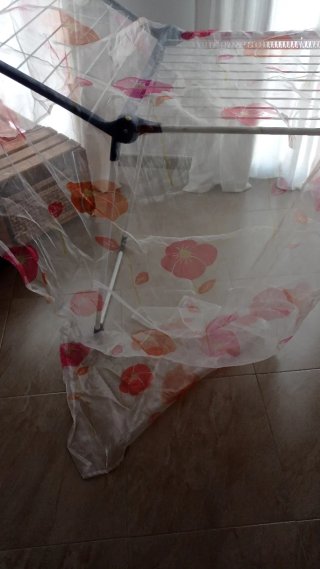 Voilant floral