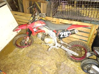 Pit Bike Orion 140cc
