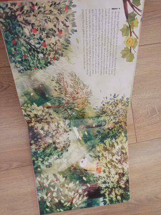 Cuentos infantiles hasta tercero de primaria.