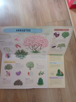 Cuentos infantiles hasta tercero de primaria.