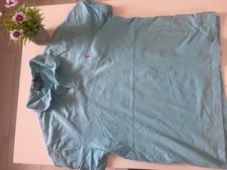 Polo Ralph Lauren Azul