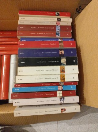 Colección libros el pais novela historica