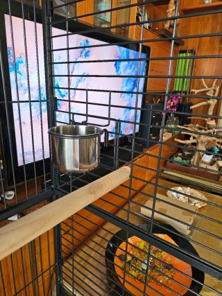 Jaula grande para loros nueva a estrenar