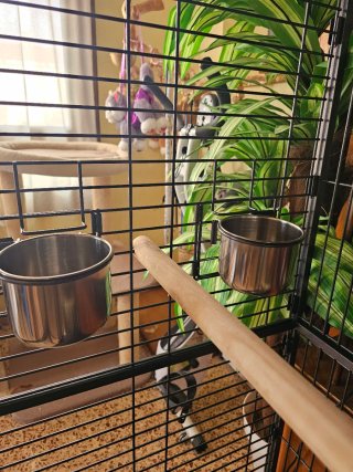 Jaula grande para loros nueva a estrenar