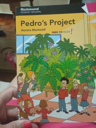RPR LEVEL 4 PEDRO'S PROJECT