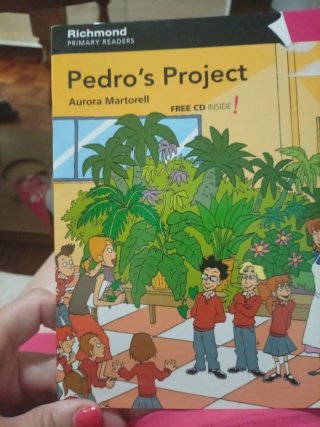 RPR LEVEL 4 PEDRO'S PROJECT