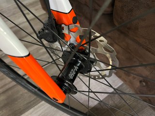 BERRIA BELADOR CARBON 105 G5301