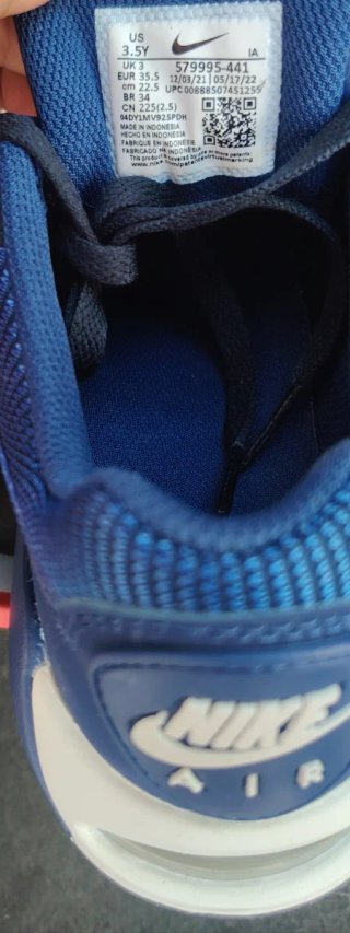 Nike Air Max Azul/Gris