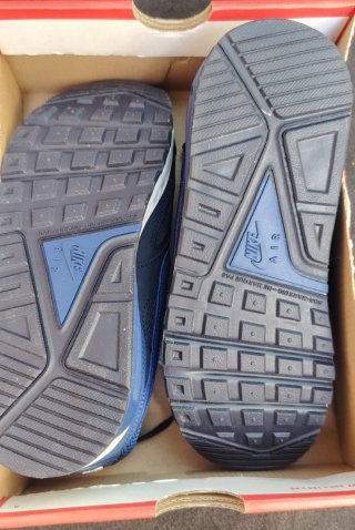 Nike Air Max Azul/Gris