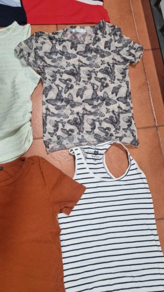 Lote 6 Camisetas Talla M
