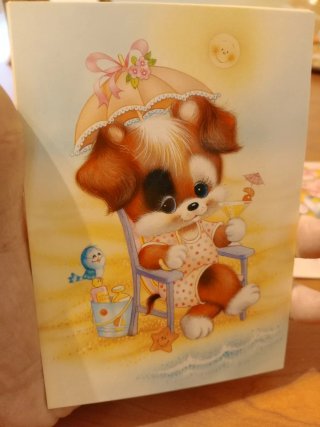 Set 5 cartoline vintage nuove