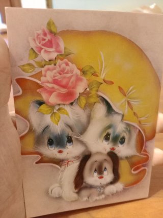 Set 5 cartoline vintage nuove