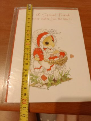 Cartolina Grande Topini Vintage con Busta