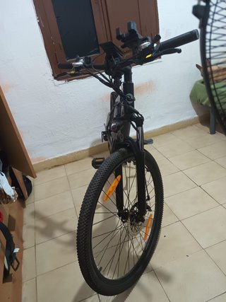 Bicicleta eléctrica VARUN – MTB 250W | 48V