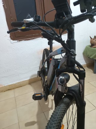 Bicicleta eléctrica VARUN – MTB 250W | 48V