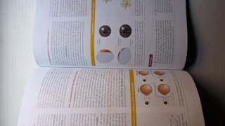 Libro Física 2 Bachillerato con licencia