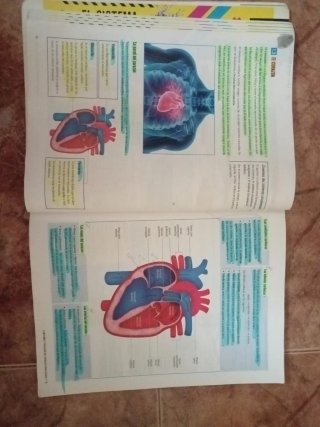 Biología y Geología 3, Secundaria, Fanfest Edel...