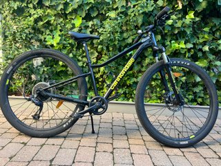 Bicicleta Montagna Cannondale 26