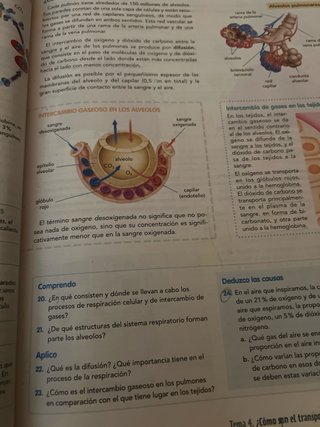 BIOLOGIA Y GEOLOGIA 3 (COMUNIDAD EN RED)