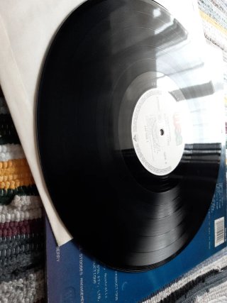 Vinilo Rose Tattoo Southern Stars