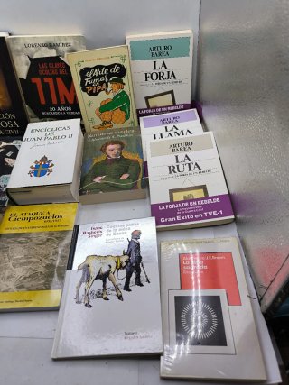 Libros literatura, Política y otros 15€ unidad