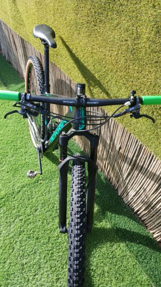 Bicicleta Berria Carbono 29