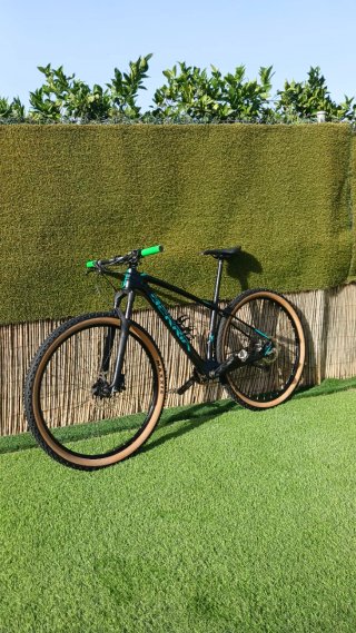 Bicicleta Berria Carbono 29