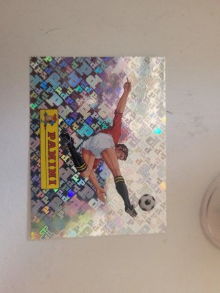 Cromo Mundial Panini