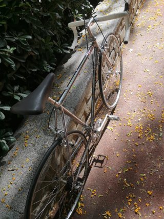 Bicicleta Zeus Criterium 78
