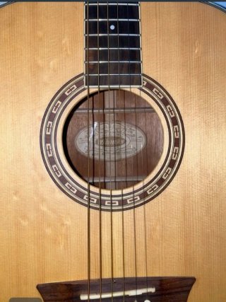 Washburn WD10S NS Acústica