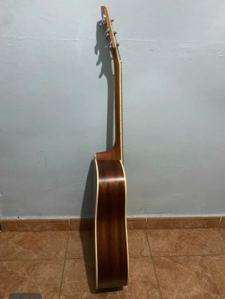 Washburn WD10S NS Acústica