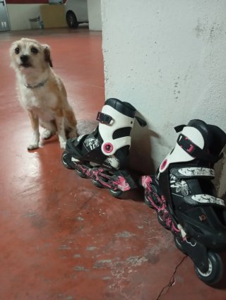 Patines en línea Oxelo Talla 38