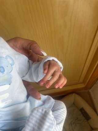 Muñeca Reborn realista