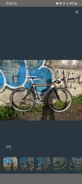 Stevens Carbon Team Ciclocross 2014