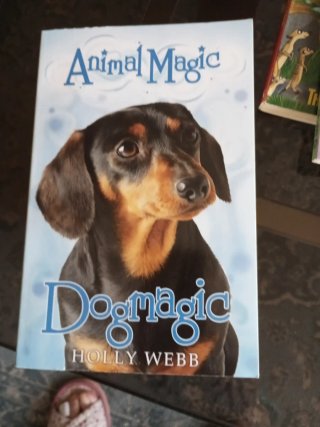Libros de inglés .