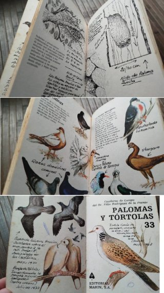 Lote de 7 piccoli libri antichi vari