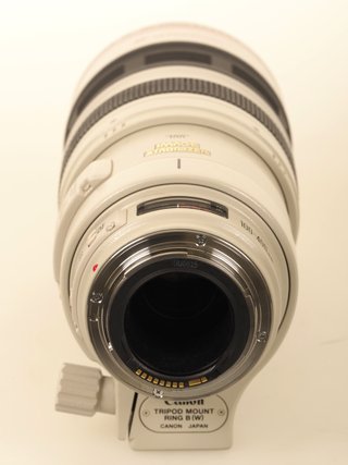 Canon EF 100-400 L IS