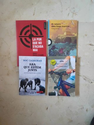 Lote de libros de lectura en Valenciano (ESO)