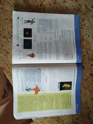 Lengua castellana y literatura 3 ESO : código a...