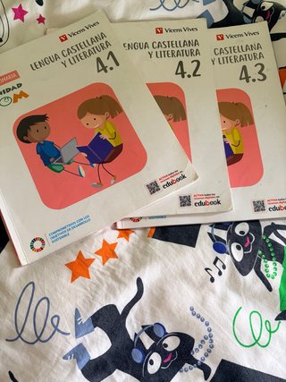 Lengua Castellana y Literatura 4, Educación Primar