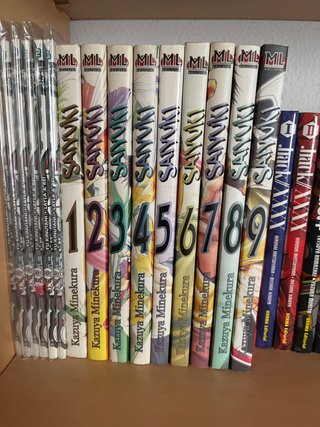 Manga Saiyuki completo